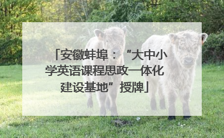 安徽蚌埠：“大中小学英语课程思政一体化建设基地”授牌