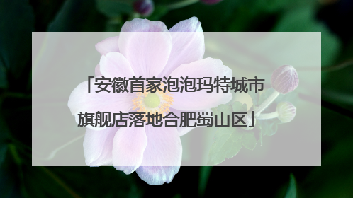 安徽首家泡泡玛特城市旗舰店落地合肥蜀山区