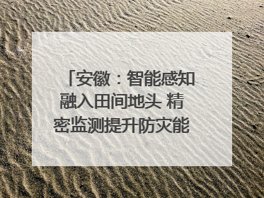 安徽：智能感知融入田间地头 精密监测提升防灾能力｜增发国债气象项目落地见效系列报道