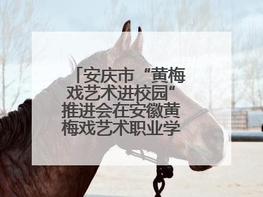 安庆市“黄梅戏艺术进校园”推进会在安徽黄梅戏艺术职业学院顺利召开