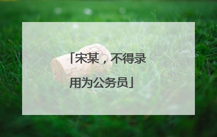 宋某，不得录用为公务员