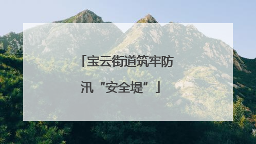 宝云街道筑牢防汛“安全堤”