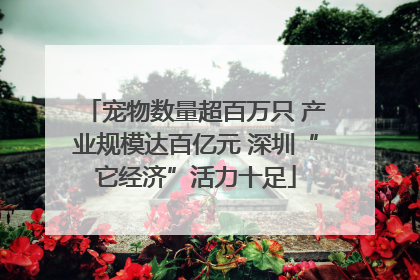 宠物数量超百万只 产业规模达百亿元 深圳“它经济”活力十足