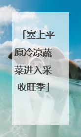 塞上平原冷凉蔬菜进入采收旺季