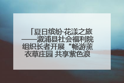 夏日缤纷·花漾之旅——溆浦县社会福利院组织长者开展“畅游薰衣草庄园 共享紫色浪漫”户外活动