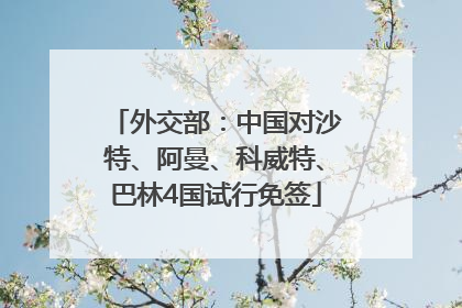 外交部：中国对沙特、阿曼、科威特、巴林4国试行免签
