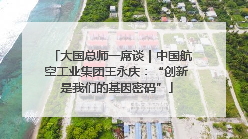 大国总师一席谈｜中国航空工业集团王永庆：“创新是我们的基因密码”