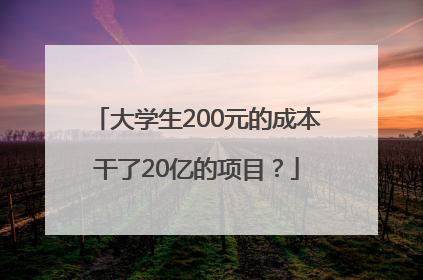 大学生200元的成本干了20亿的项目？