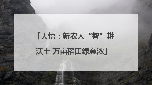 大悟：新农人“智”耕沃土 万亩稻田绿意浓