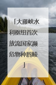 大藤峡水利枢纽首次放流国家濒危物种唇鲮