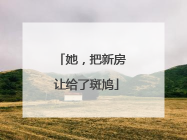 她，把新房让给了斑鸠