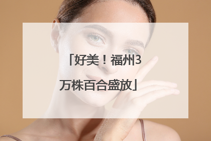 好美！福州3万株百合盛放