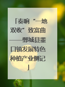 奏响“一地双收”致富曲——鄄城县董口镇发展特色种植产业侧记