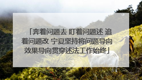 奔着问题去 盯着问题述 追着问题改 宁夏坚持将问题导向效果导向贯穿述法工作始终