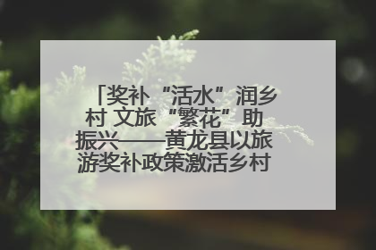 奖补“活水”润乡村 文旅“繁花”助振兴——黄龙县以旅游奖补政策激活乡村振兴新动能