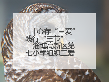 心存“三爱”践行“三节”——淄博高新区第七小学组织三爱三节主题活动
