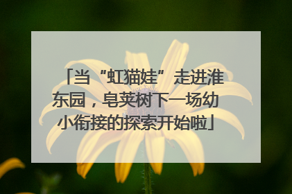 当“虹猫娃”走进淮东园，皂荚树下一场幼小衔接的探索开始啦