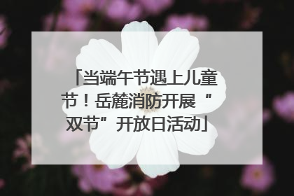当端午节遇上儿童节！岳麓消防开展“双节”开放日活动