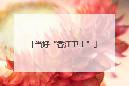 当好“香江卫士”