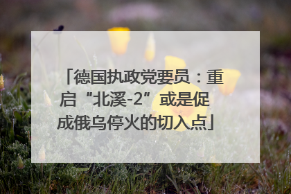 德国执政党要员：重启“北溪-2”或是促成俄乌停火的切入点