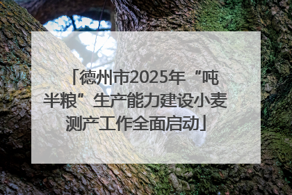 德州市2025年“吨半粮”生产能力建设小麦测产工作全面启动