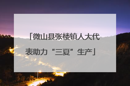 微山县张楼镇人大代表助力“三夏”生产