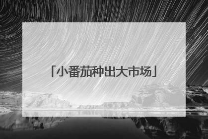 小番茄种出大市场