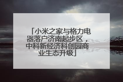 小米之家与格力电器落户济南起步区，中科新经济科创园商业生态升级