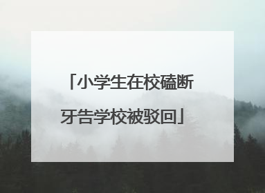 小学生在校磕断牙告学校被驳回