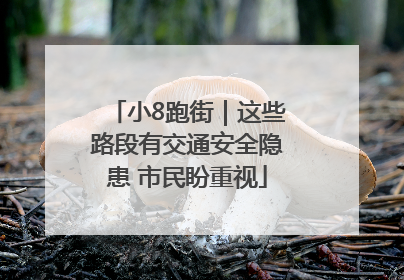 小8跑街｜这些路段有交通安全隐患 市民盼重视