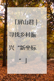 屏山君｜寻找乡村振兴“新坐标”