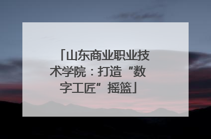 山东商业职业技术学院：打造“数字工匠”摇篮