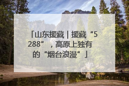 山东援藏｜援藏“5288”，高原上独有的“烟台浪漫”
