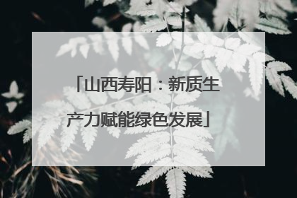 山西寿阳：新质生产力赋能绿色发展