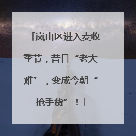 岚山区进入麦收季节，昔日“老大难”，变成今朝“抢手货”！