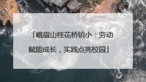峨眉山桂花桥镇小：劳动赋能成长，实践点亮校园