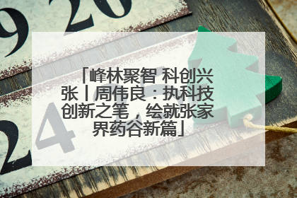 峰林聚智 科创兴张丨周伟良：执科技创新之笔，绘就张家界药谷新篇