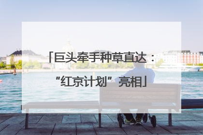 巨头牵手种草直达：“红京计划”亮相