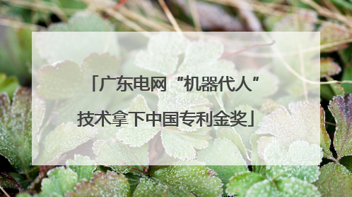 广东电网“机器代人”技术拿下中国专利金奖
