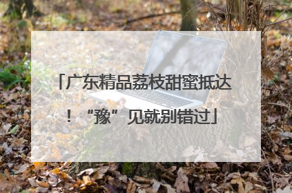 广东精品荔枝甜蜜抵达！“豫”见就别错过