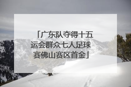 广东队夺得十五运会群众七人足球赛佛山赛区首金