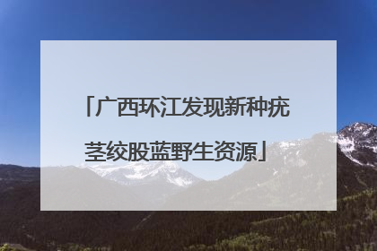 广西环江发现新种疣茎绞股蓝野生资源