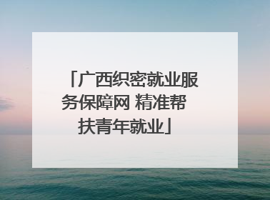 广西织密就业服务保障网 精准帮扶青年就业