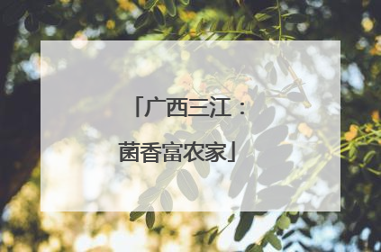 广西三江：菌香富农家
