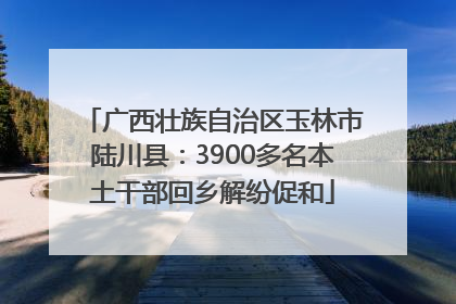 广西壮族自治区玉林市陆川县：3900多名本土干部回乡解纷促和