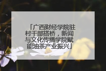 广西财经学院驻村干部搭桥，新闻与文化传播学院赋能油茶产业振兴