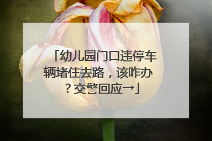 幼儿园门口违停车辆堵住去路，该咋办？交警回应→