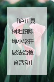 庐江县柯坦镇陈埠小学开展法治教育活动