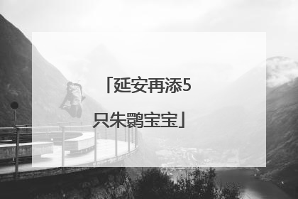 延安再添5只朱鹮宝宝