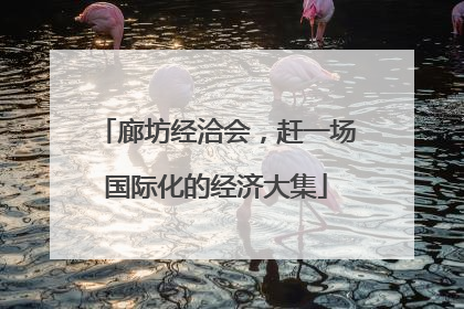 廊坊经洽会，赶一场国际化的经济大集